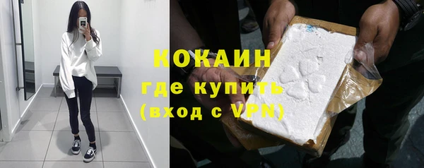ГАЛЛЮЦИНОГЕННЫЕ ГРИБЫ Няндома