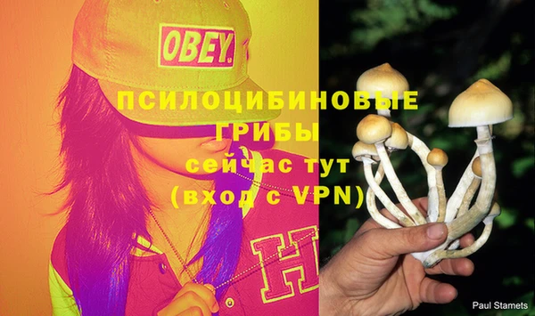 круглые Абдулино