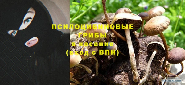 молекула духа Абаза